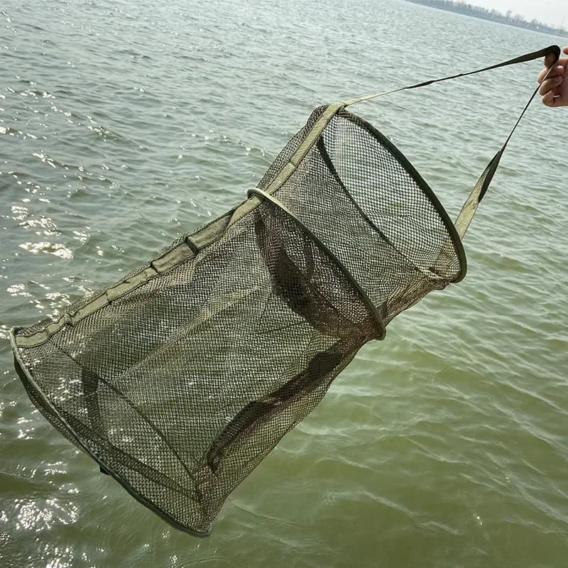 Filet de pêche escamotable pour carpes et anguilles - Équipement parfait pour passionnés de pêche extérieure