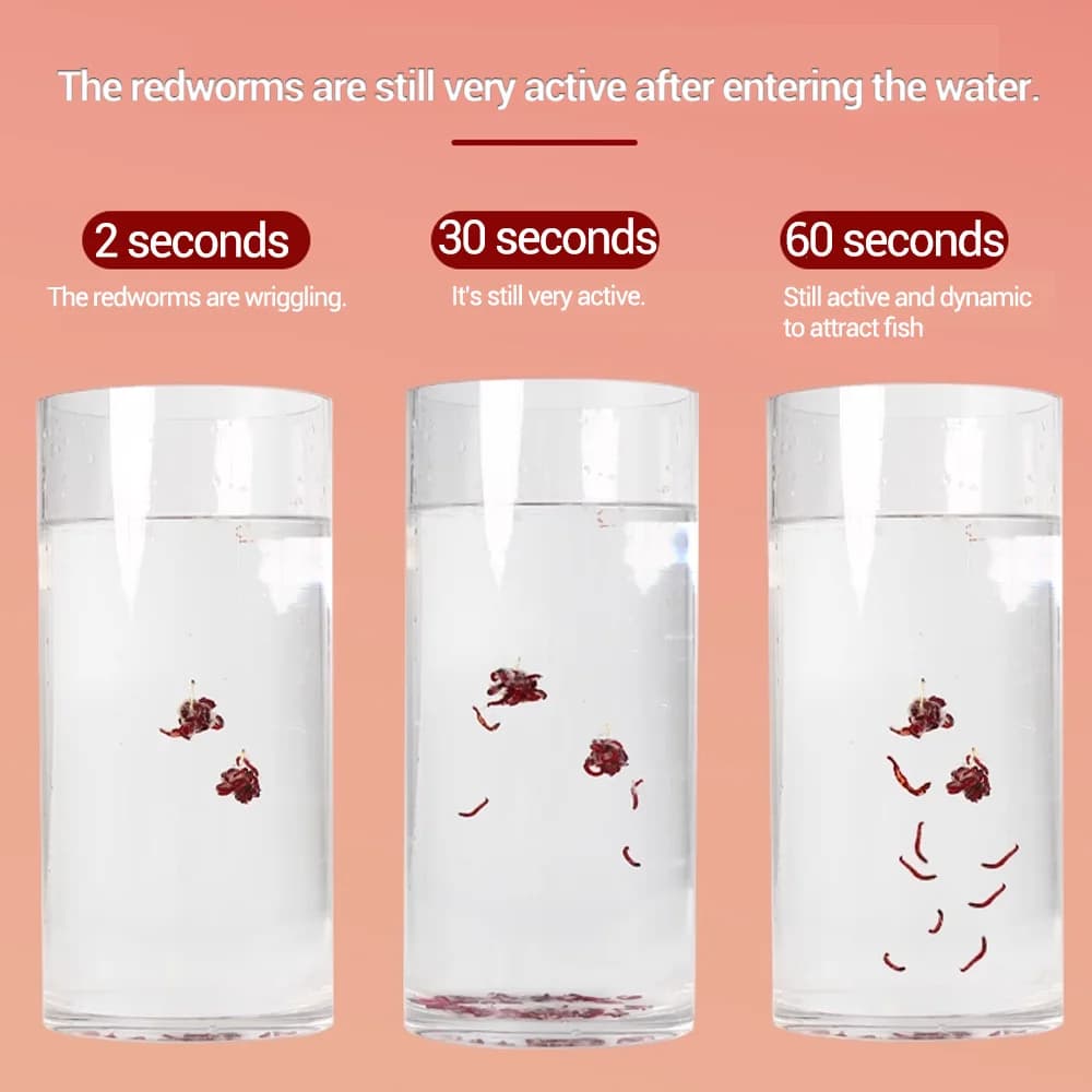 Poudre attractante vers de vase 200ml - additif concentré pour appâts carpe et silure