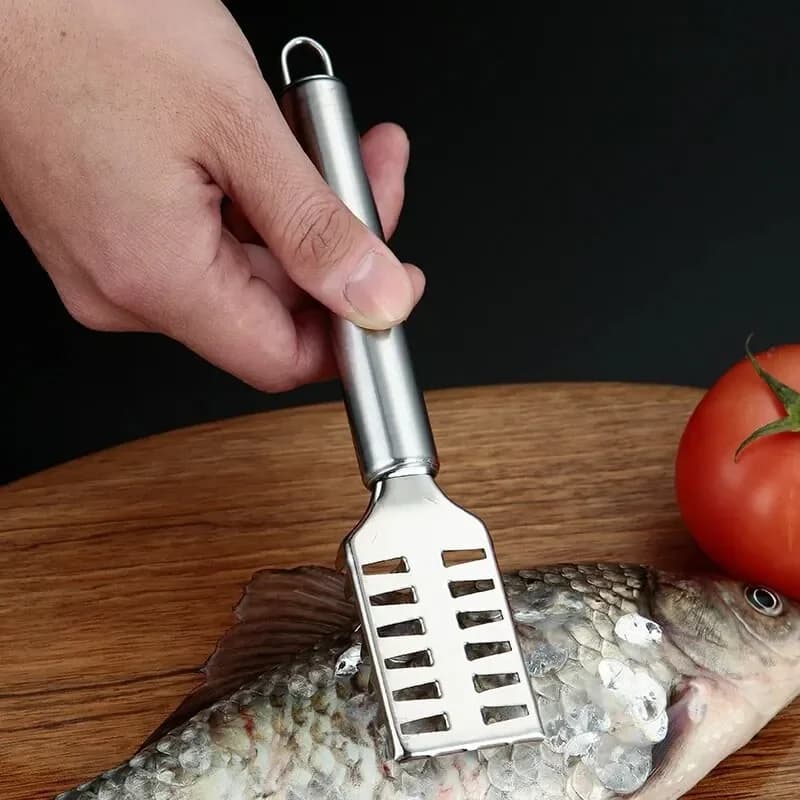Couteau à écailler inox dentelé - Outil professionnel pour éviscérer et fileter le poisson
