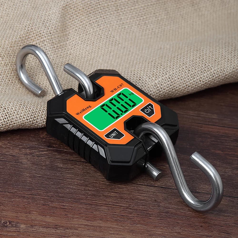 Balance électronique suspendue 100kg/50g LCD portable pour pêche - Outil multifonction précis