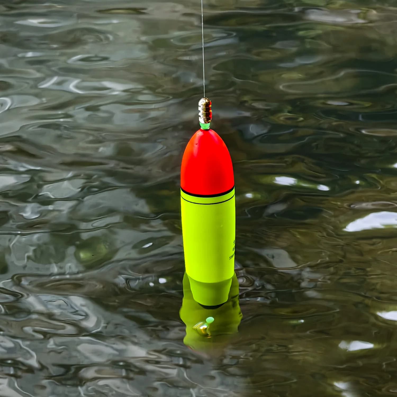 Flotteurs Sougayilang EVA 5 pièces pour pêche en mer et roche, poids leurre 10-100g, sticks lumineux