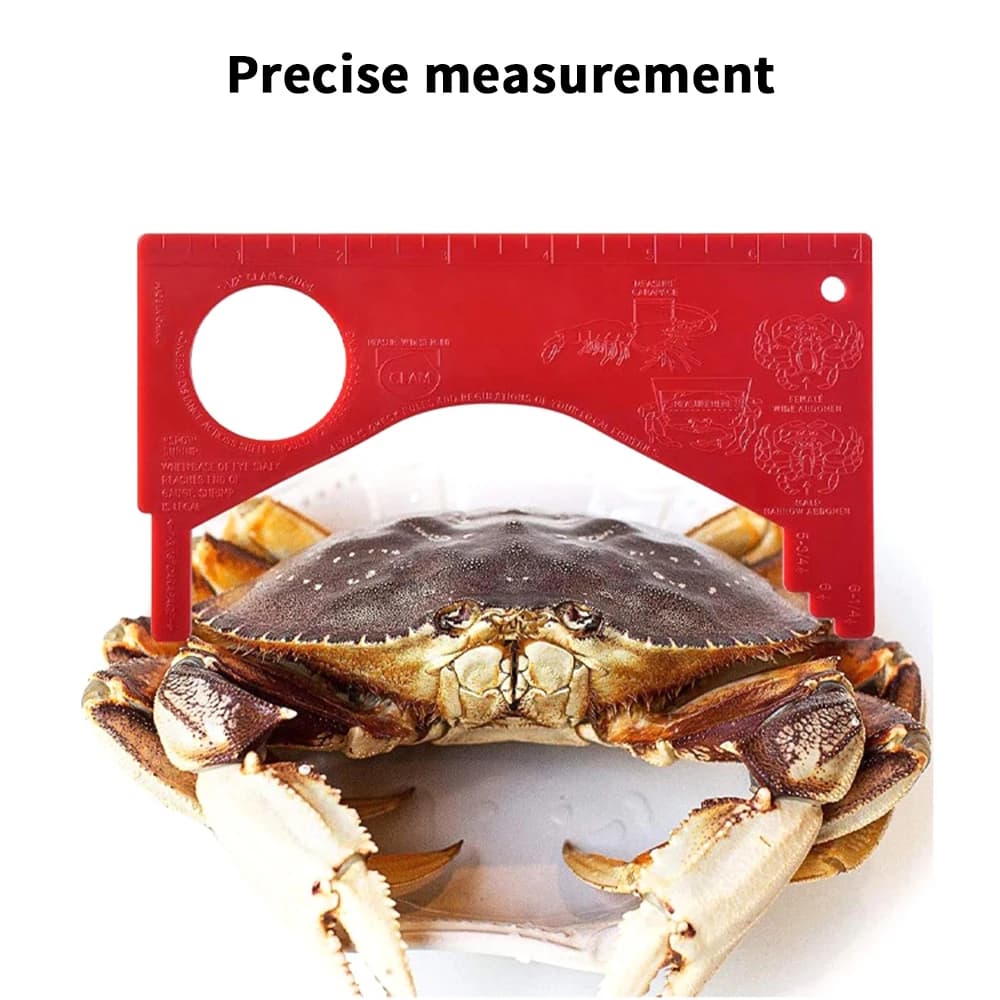 Jauge à crabes et crevettes mesure précise pour pêche équipement sportif durable