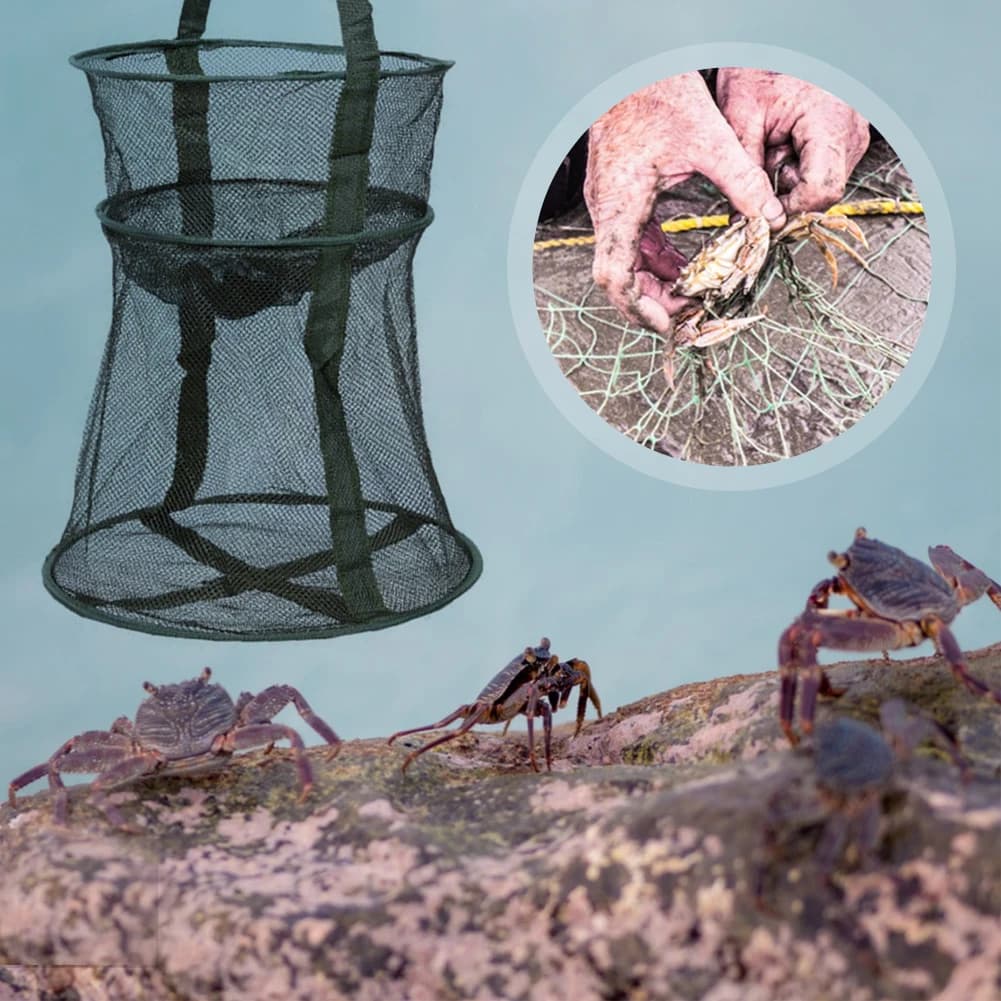 Filet de pêche pliable en forme de cage ronde, épuisette de débarquement pliante pour accessoires pêche