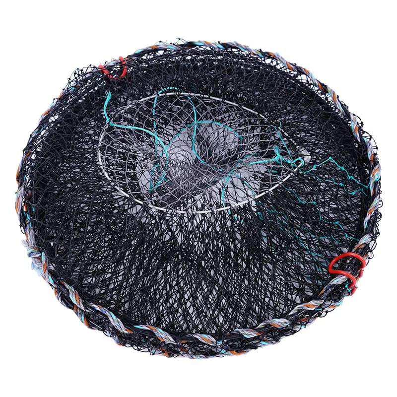 Piège à poissons pliable et télescopique 40x80 cm pour écrevisses crabes et crevettes