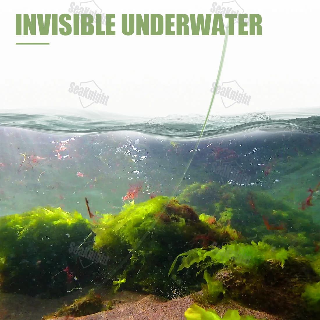 Ligne nylon SeaKnight CARP 500m invisible sous l'eau - Anti-usure pour pêche de la carpe 10-25LB