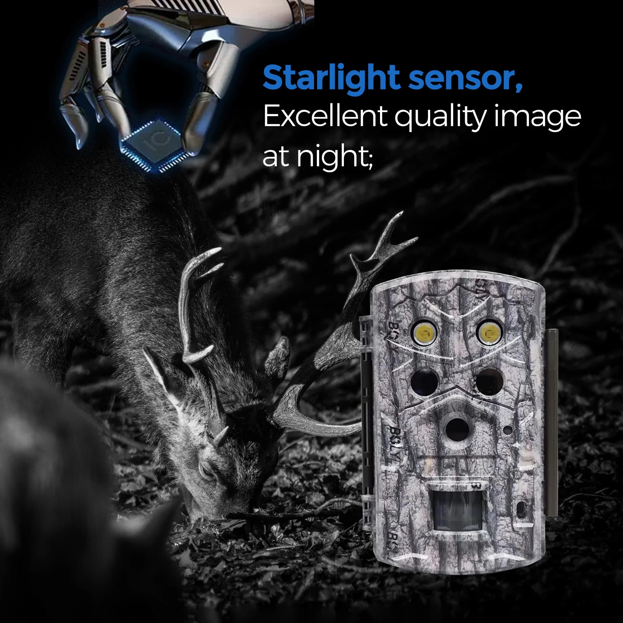 Caméra BolyGuard BG590 4K 45MP étanche IP68 vision nocturne 30m écran 2" + carte SD offerte pour chasse