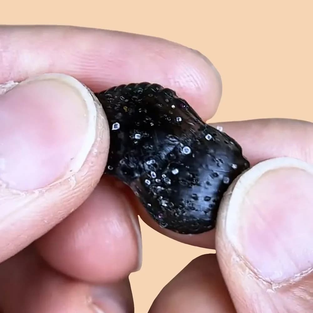 Appâts souples flottants 12pcs/boîte parfum intense - boules appât 1.5cm attracteur puissant