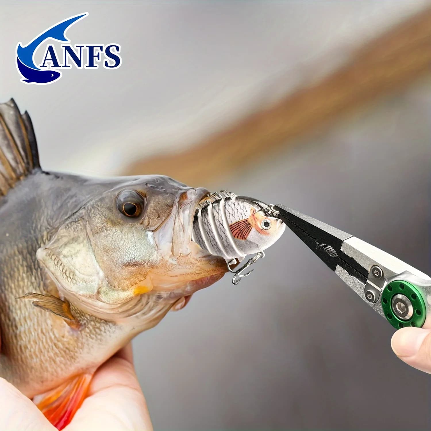 Pince à prise ANFS avec pèse-poisson intégré 40 livres - pince à lèvres verrouillable pour pêcheur