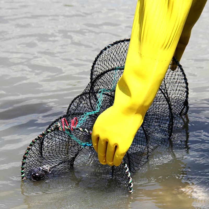 Piège à poissons pliable et télescopique 40x80 cm pour écrevisses crabes et crevettes