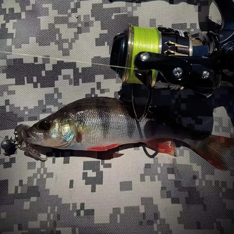 Ligne pêche chaude LEYDUN Micro 8 brins PE 300m japonaise lisse multifilament carpe mer