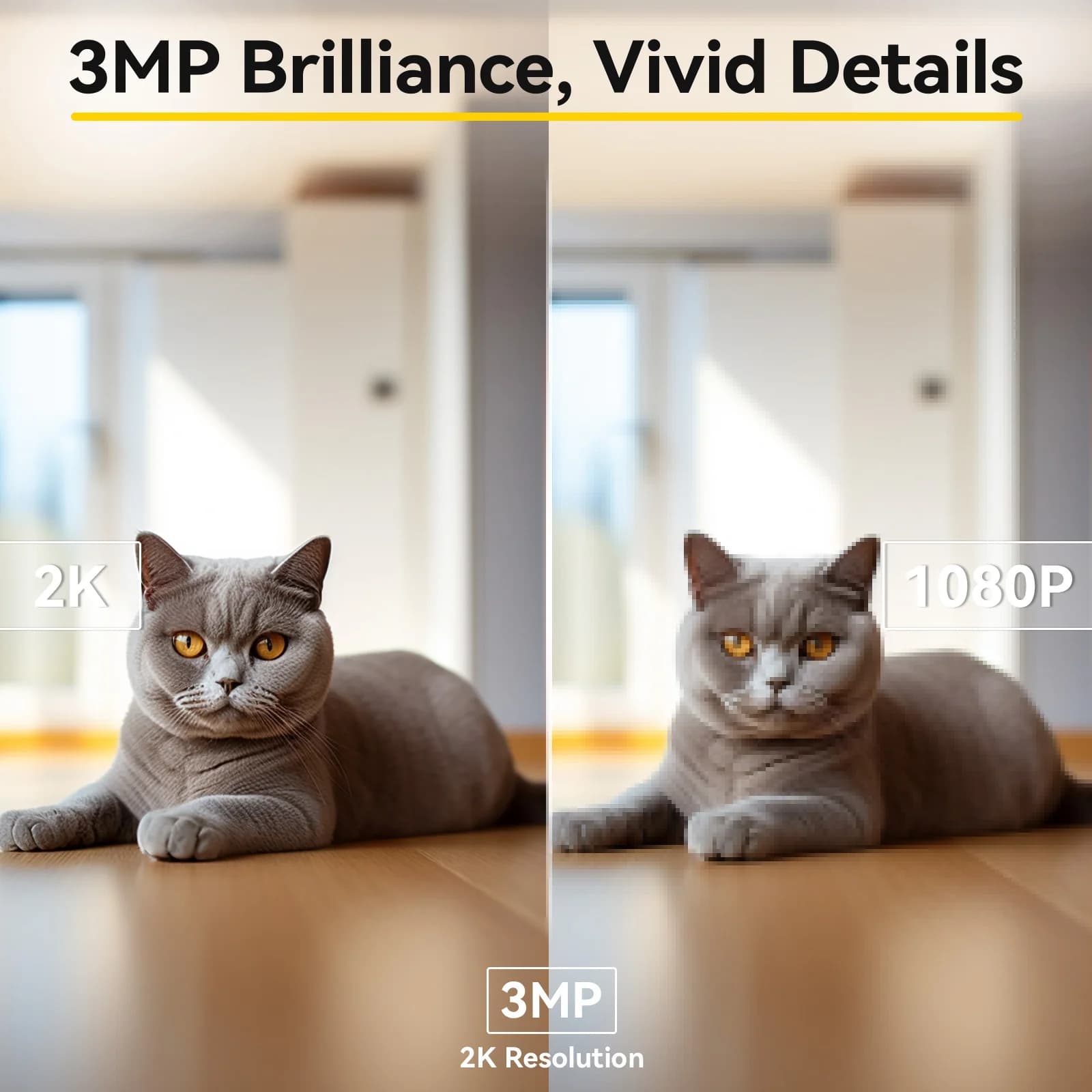 Chaussettes de plongée en néoprène 3mm antidérapantes pour surf, snorkeling et activités nautiques