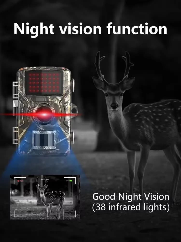 Caméra trail 1080P détecteur d'animaux sauvages étanche avec déclenchement automatique pour pièges photos extérieurs