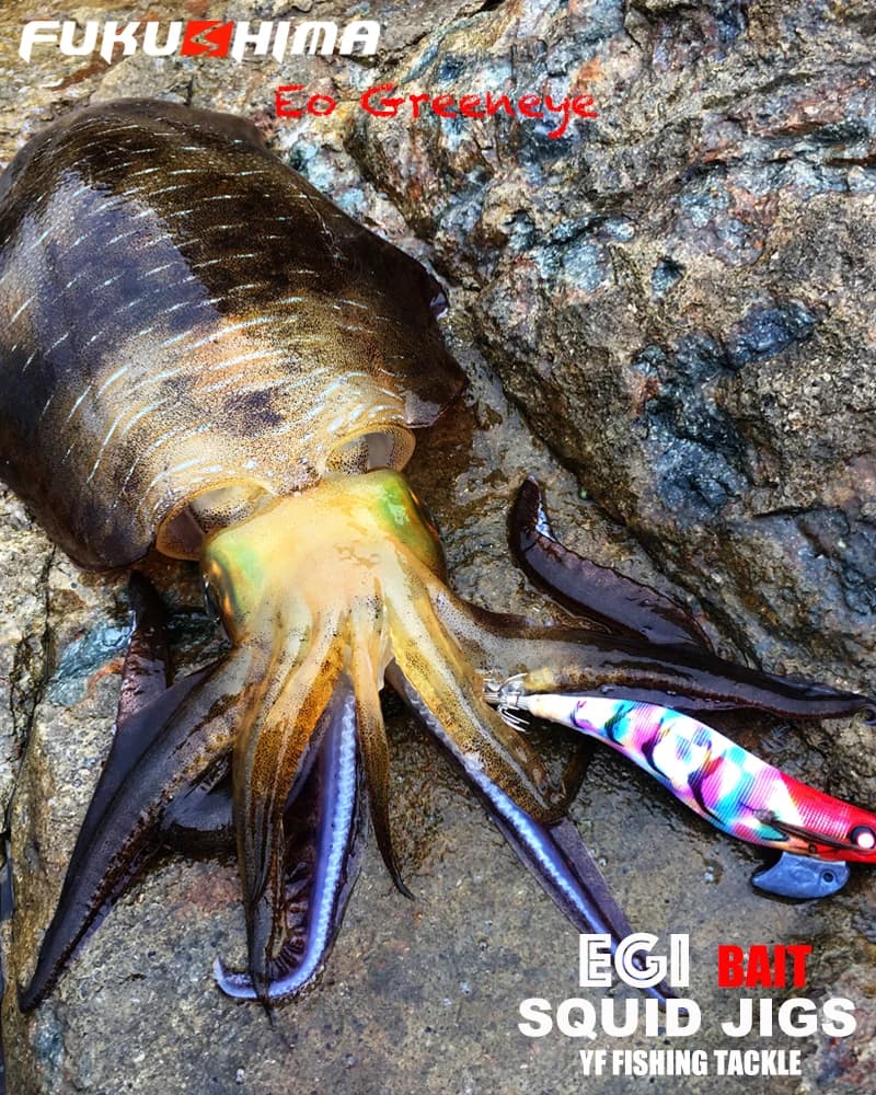 Leurre Egi Fukushima 3.5 EO Greeneyes 20g pour la pêche au calamar et à la seiche,