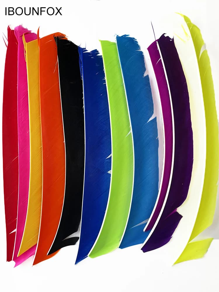 Plumes de dinde pleine longueur 18-25cm pour empennage flèche chasse et tir à l'arc,