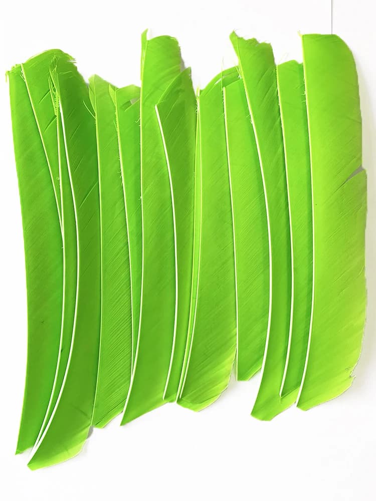Plumes de dinde pleine longueur 18-25cm pour empennage flèche chasse et tir à l'arc,