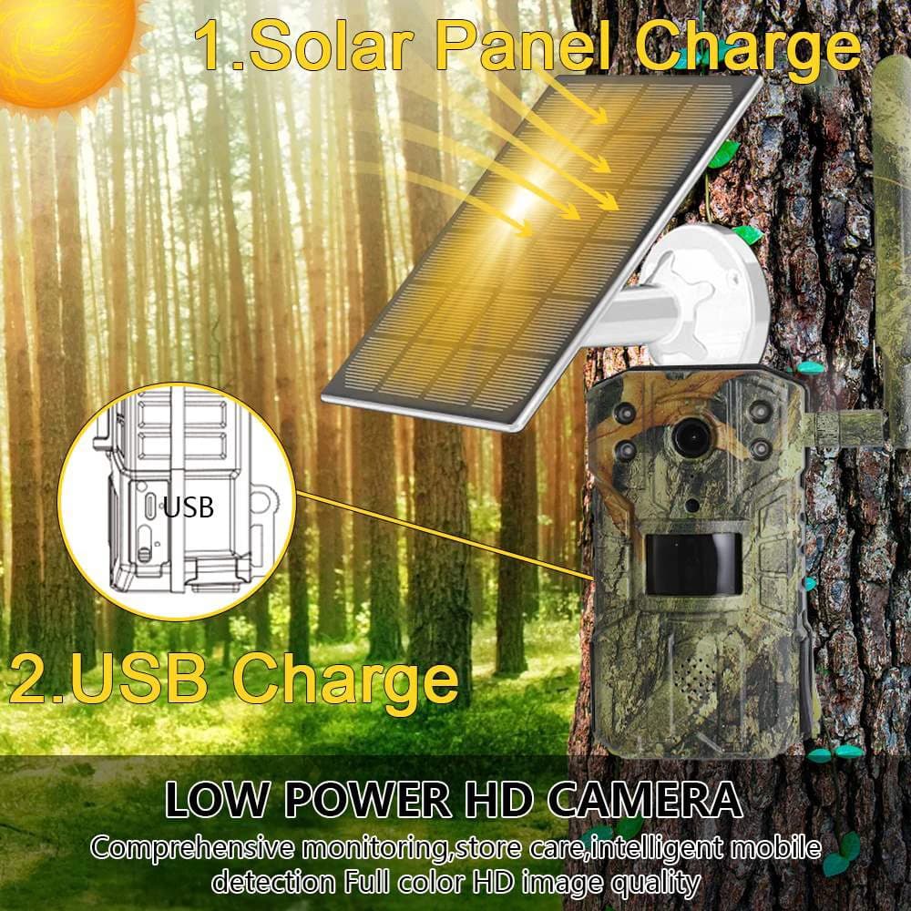 Caméra chasse solaire 4G 4MP étanche détection PIR 20m pour tracking écologique faune