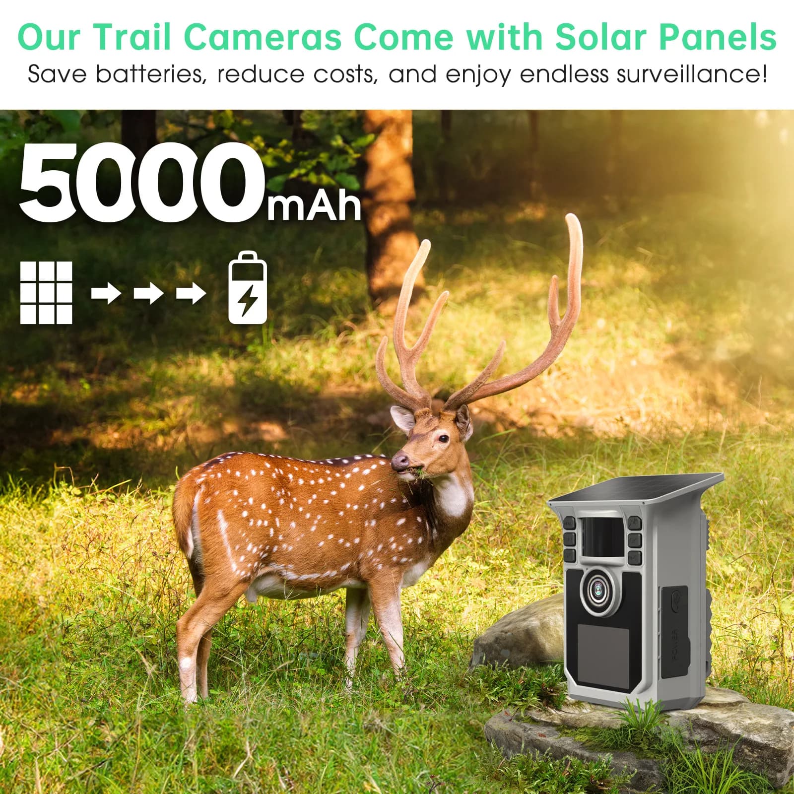 Caméra de chasse solaire 4K 48MP WiFi vision nocturne 0.2s déclenchement 130° détection autonome