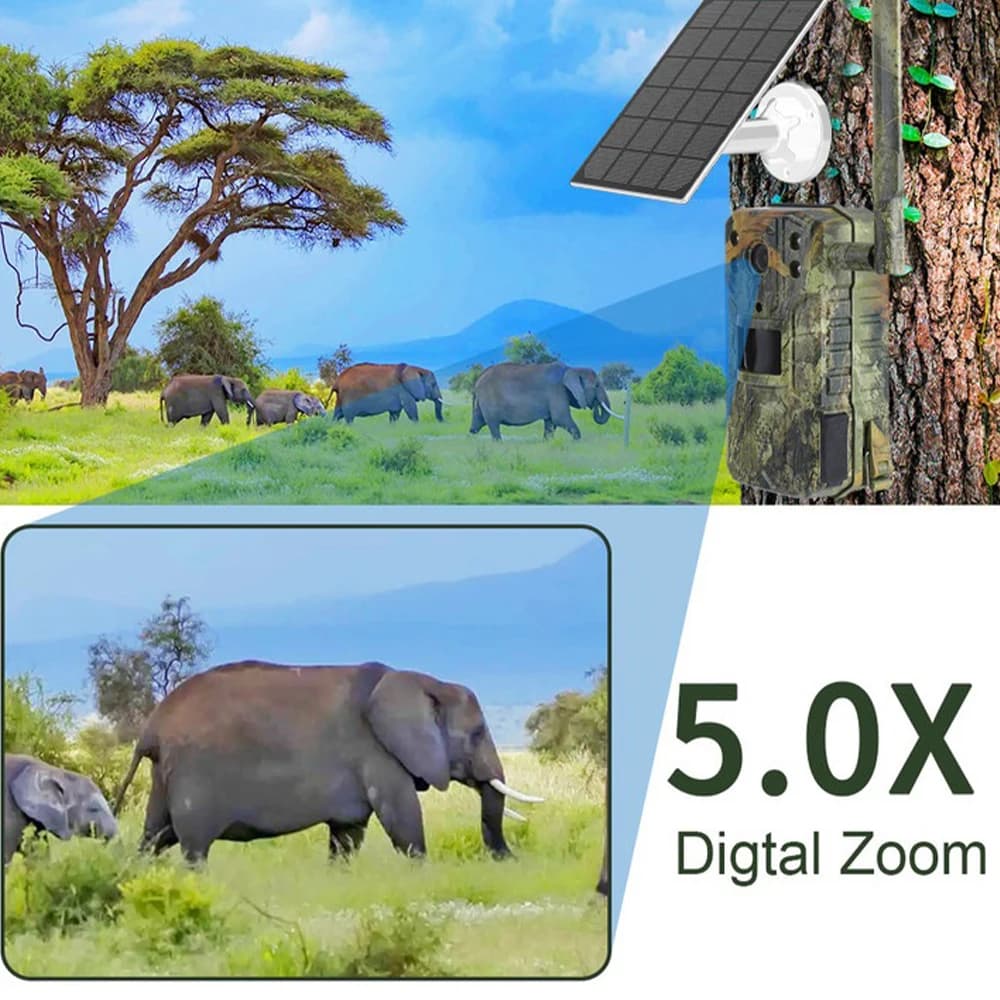 Caméra chasse solaire 4G 4MP étanche détection PIR 20m pour tracking écologique faune