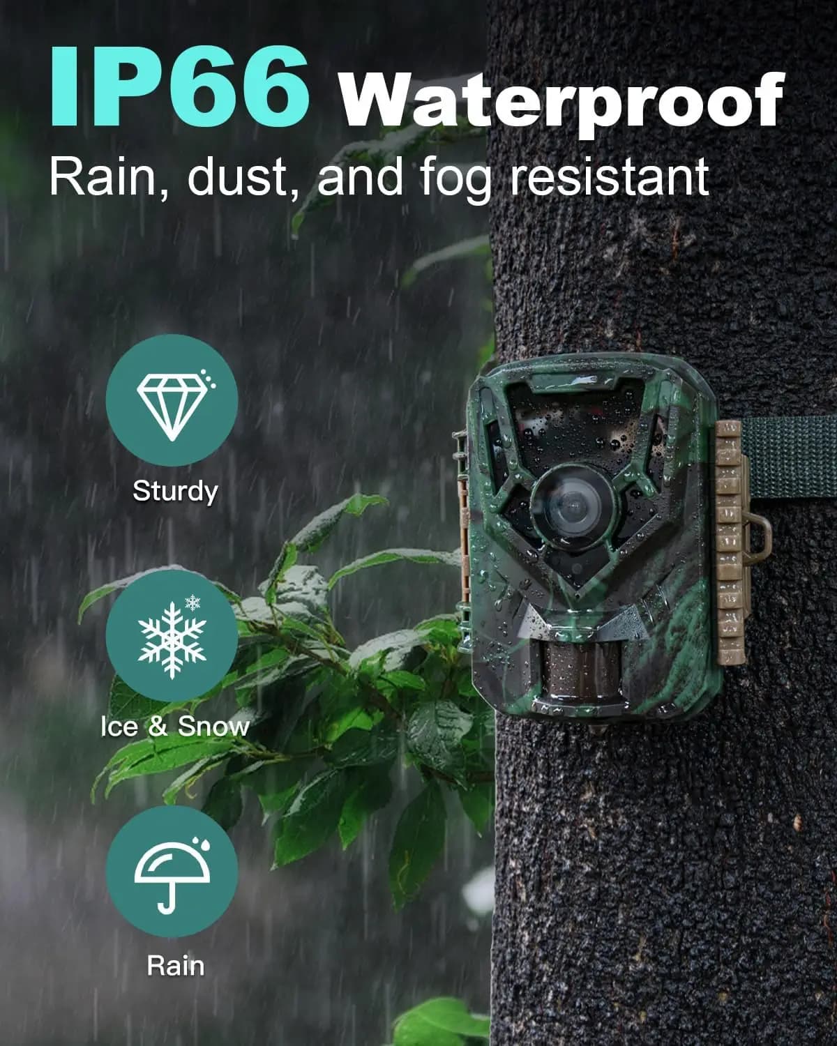 Pack 2 caméras trail 36MP 2.7K étanches IP66 avec vision nocturne pour surveillance sauvage