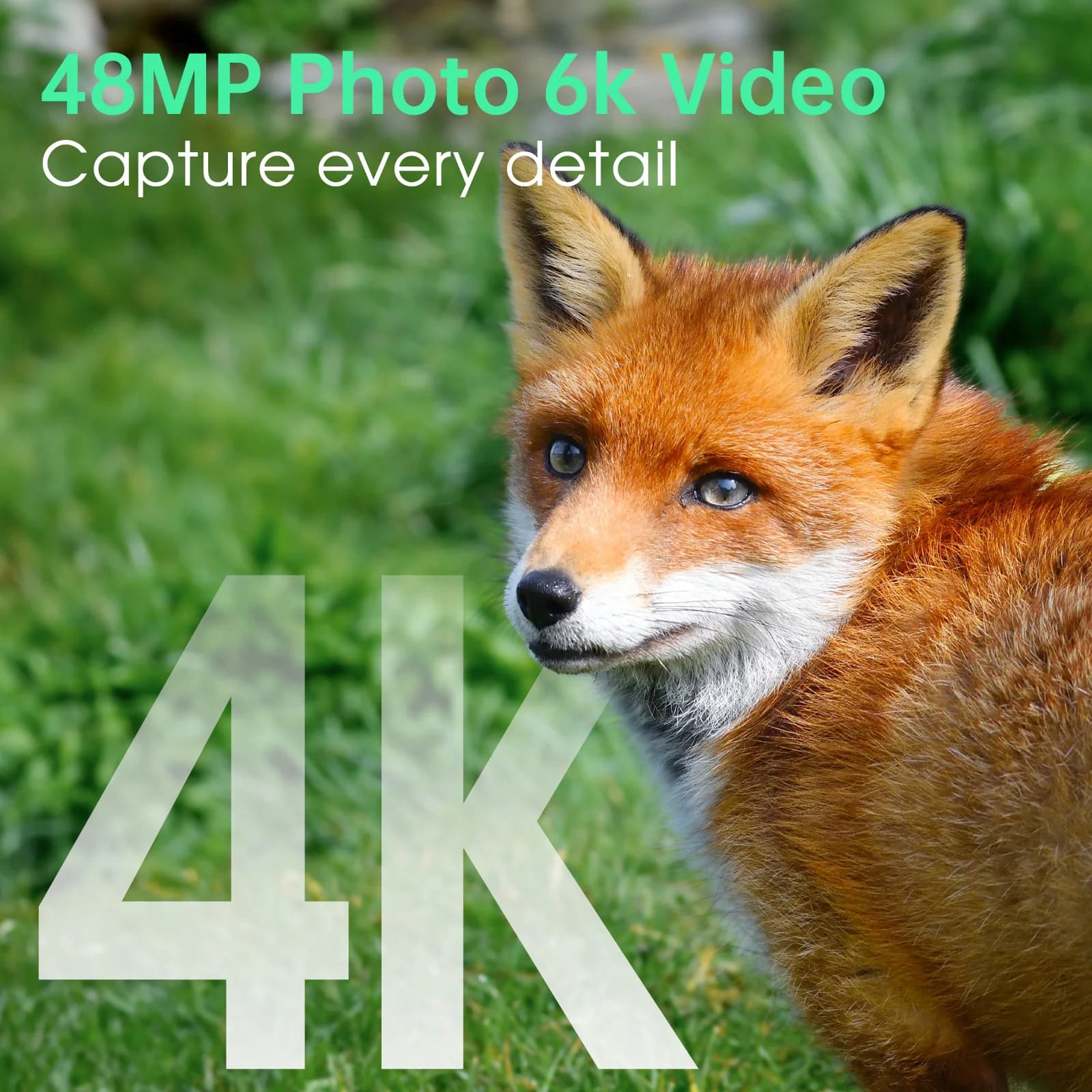 Caméra de chasse solaire 4K 48MP WiFi vision nocturne 0.2s déclenchement 130° détection autonome