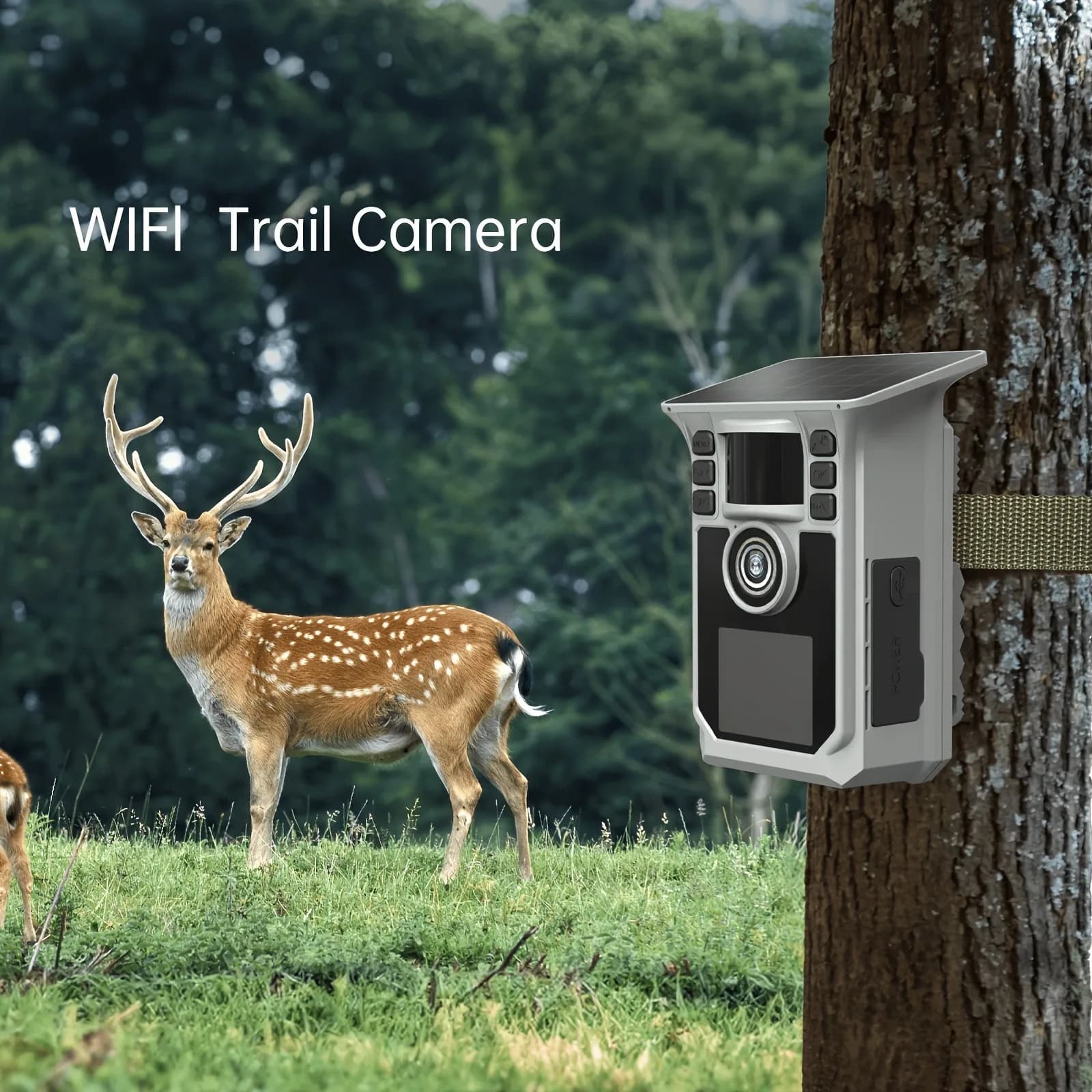 Caméra de chasse 4K 64MP WiFi solaire IP67 avec vision nocturne et détection de faune longue autonomie