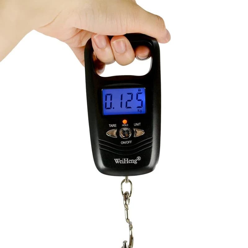 Balance poche numérique 50kg ABS - Pèse-bagages compact avec crochet pour pêche et voyages