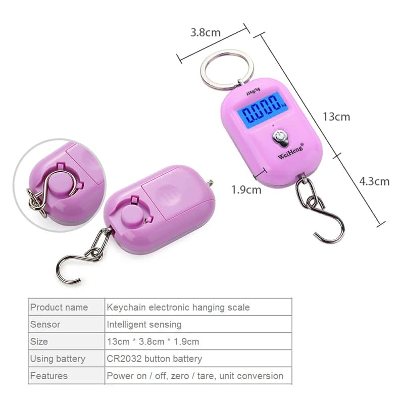Balance pêche portable 25Kg/10g mini numérique accrocheuse pour bagages voyage clés électronique