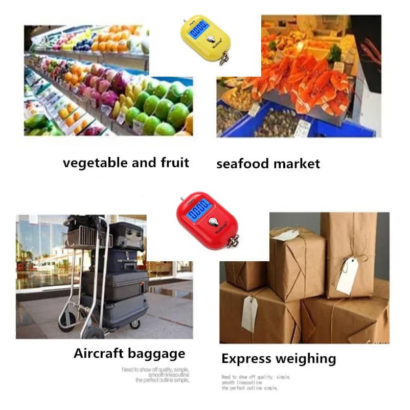 Mini balance électronique portable 25kg/5g avec crochet et rétroéclairage pour bagages et pêche JUANJUAN