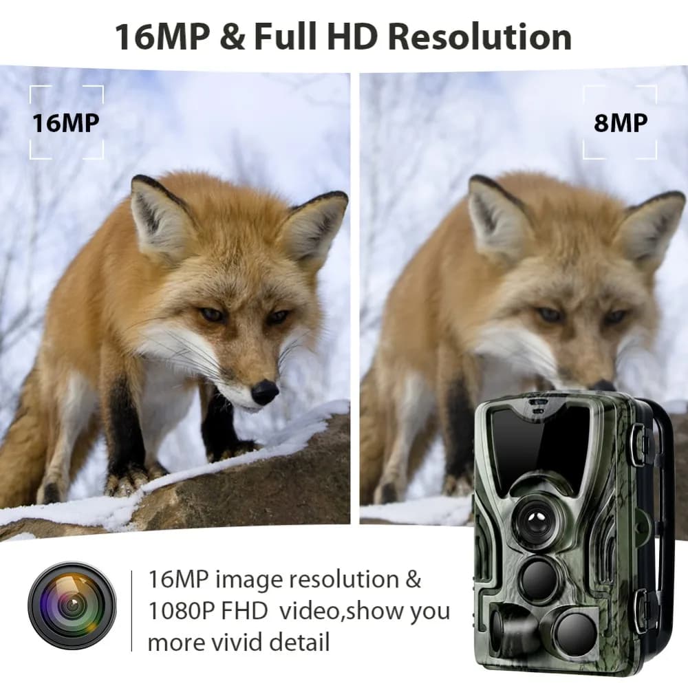 Caméra HC801ALI 16MP 1080P étanche avec batterie 5000mAh déclenchement 0.3s pour faune France