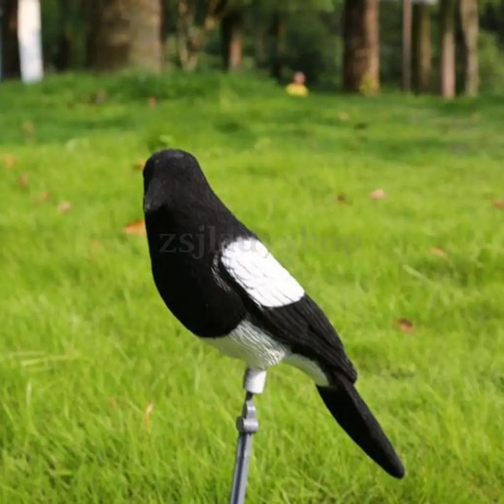 Leurre pie pour pêche - Leurre leurrant imitant les oiseaux pour carnassiers de surface