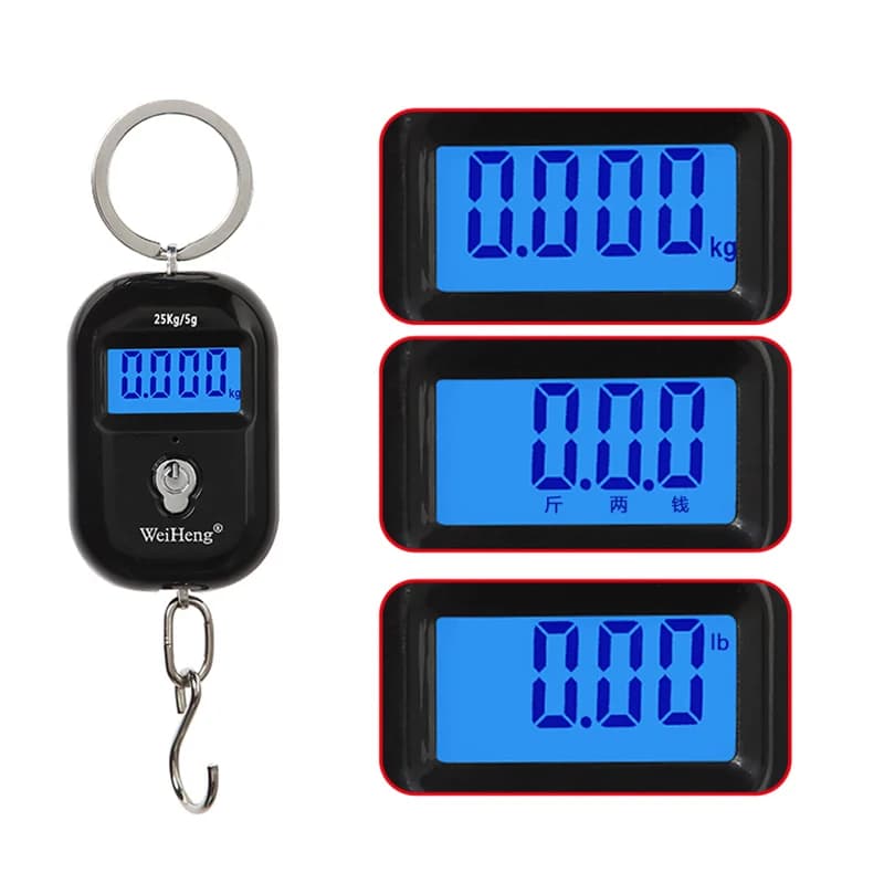 Balance pêche portable 25Kg/10g mini numérique accrocheuse pour bagages voyage clés électronique