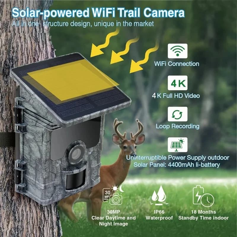 Caméra chasse 4K WiFi solaire étanche IP66 - Phototrappage professionnel avec vision nocturne avancée