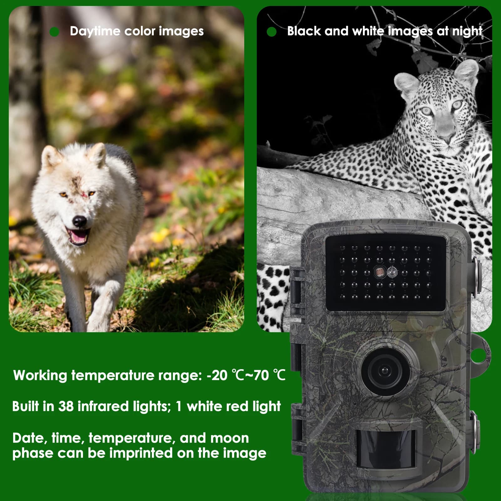 Caméra de surveillance sauvage IP66 étanche avec vision nocturne infrarouge pour monitoring