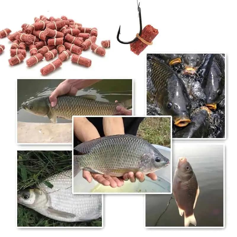 Bouillettes et pellets 30g pour carpe et carassin - appâts aux insectes et particules