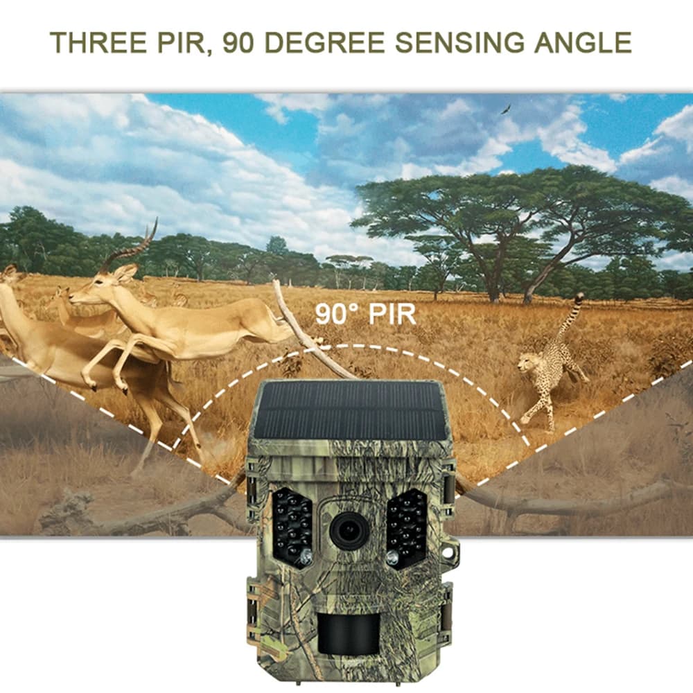 Caméra faune solaire 4K 1080P vision nocturne étanche Bluetooth WiFi app pour chasse connectée 16MP