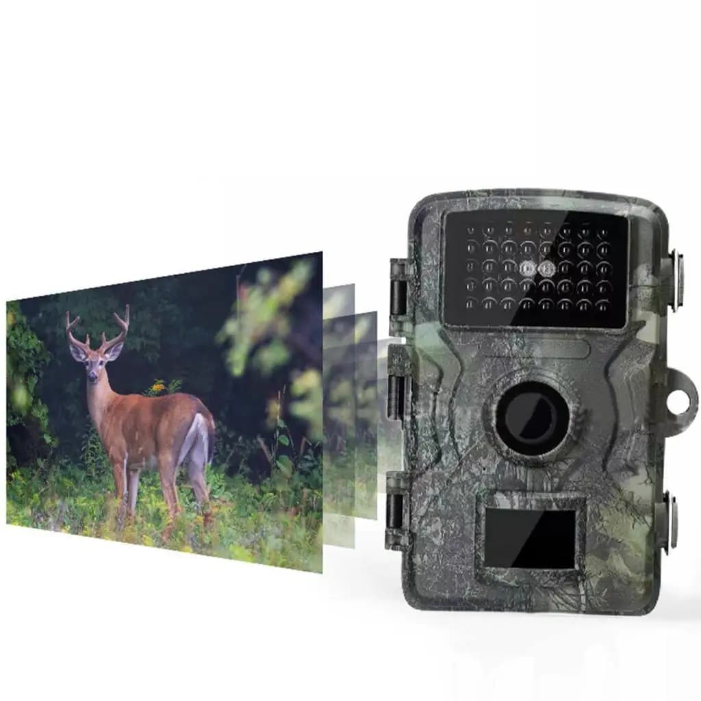 Caméra faune extérieure étanche détection mouvement pour jardin camping ferme observation animaux