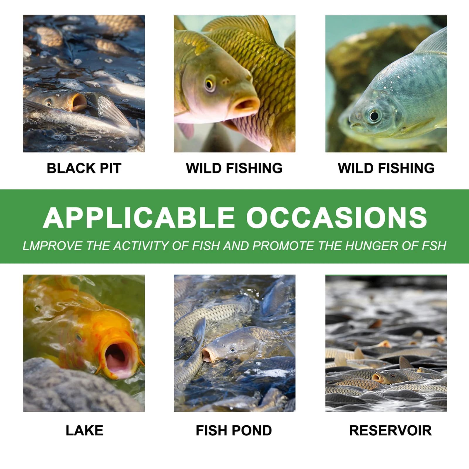 Spray attractant pour poissons puissant et portable, améliorez votre taux de réussite à la pêche