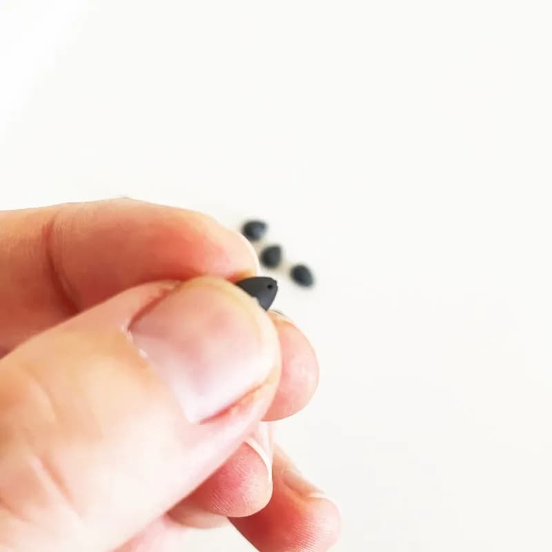 Perles plombées tungstène Downforce 0.42g pour la pêche de la carpe et montage de l'hameçon
