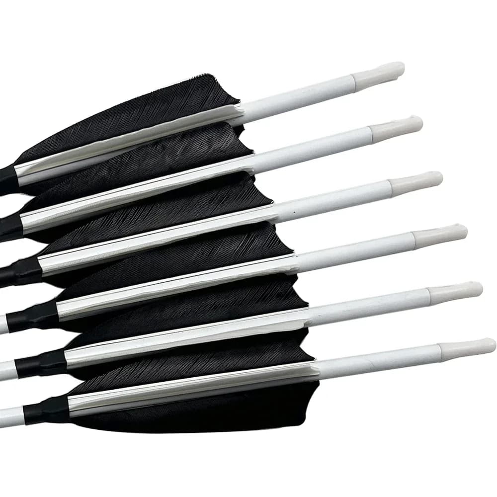 6 flèches carbone 30/32 pouces pointes interchangeables pour pêche à l'arc compound/récursif