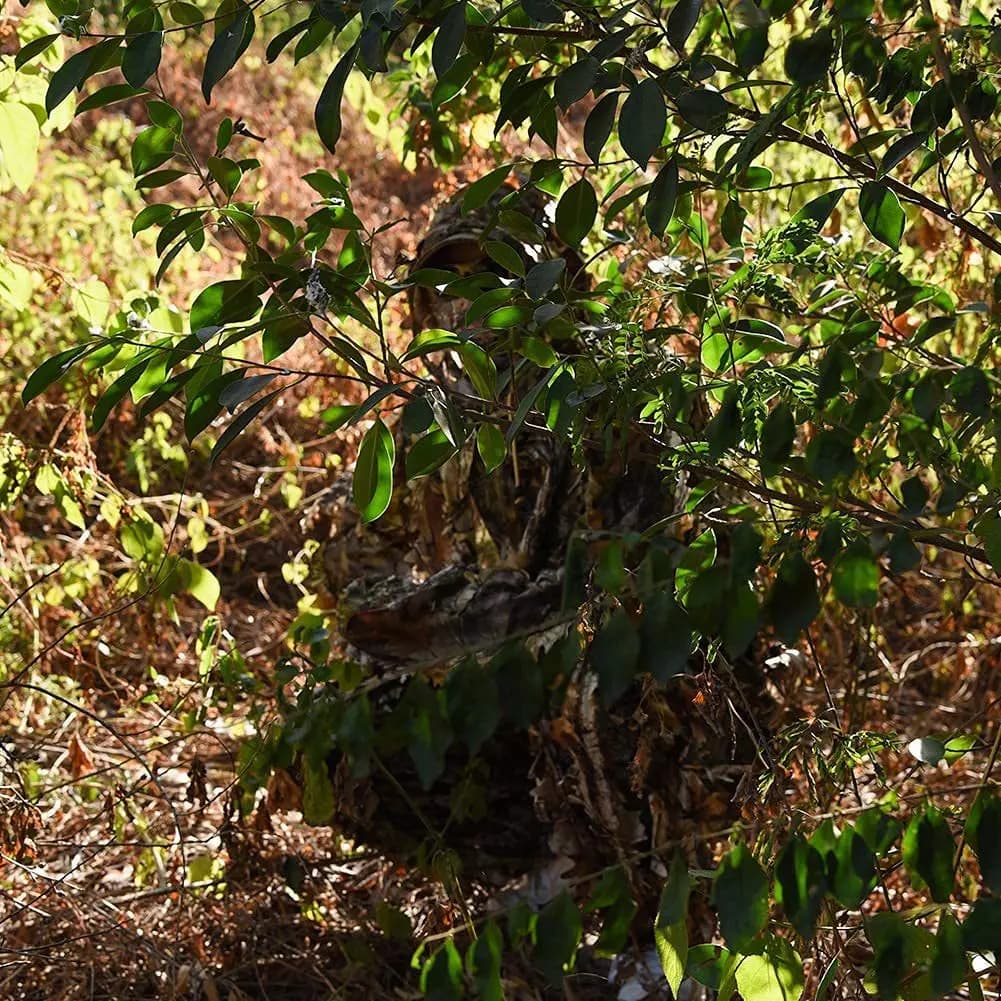 Ensemble pêche Ghillie 3D coupe arbre - protection UV observation oiseaux chasse jungle
