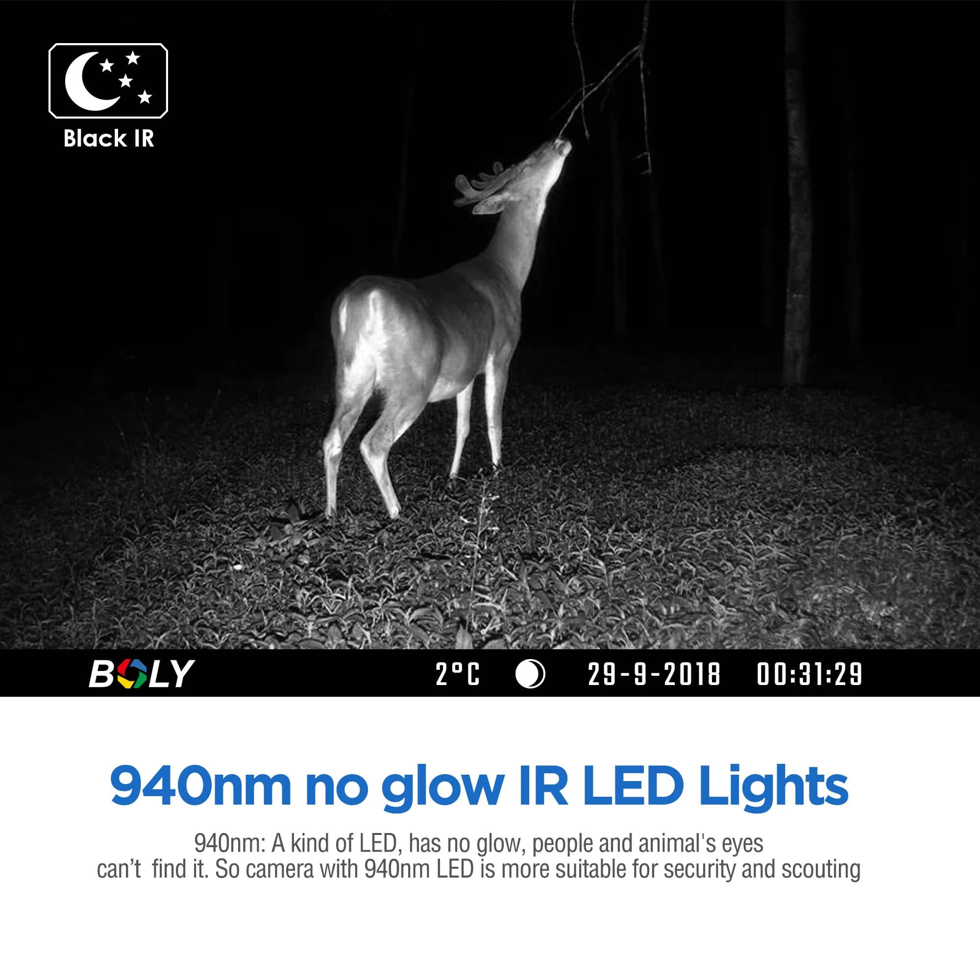 Caméra trail BolyGuard BG636 4G/LTE 36MP cloud Molnus étanche IP68 pour surveillance faune connectée