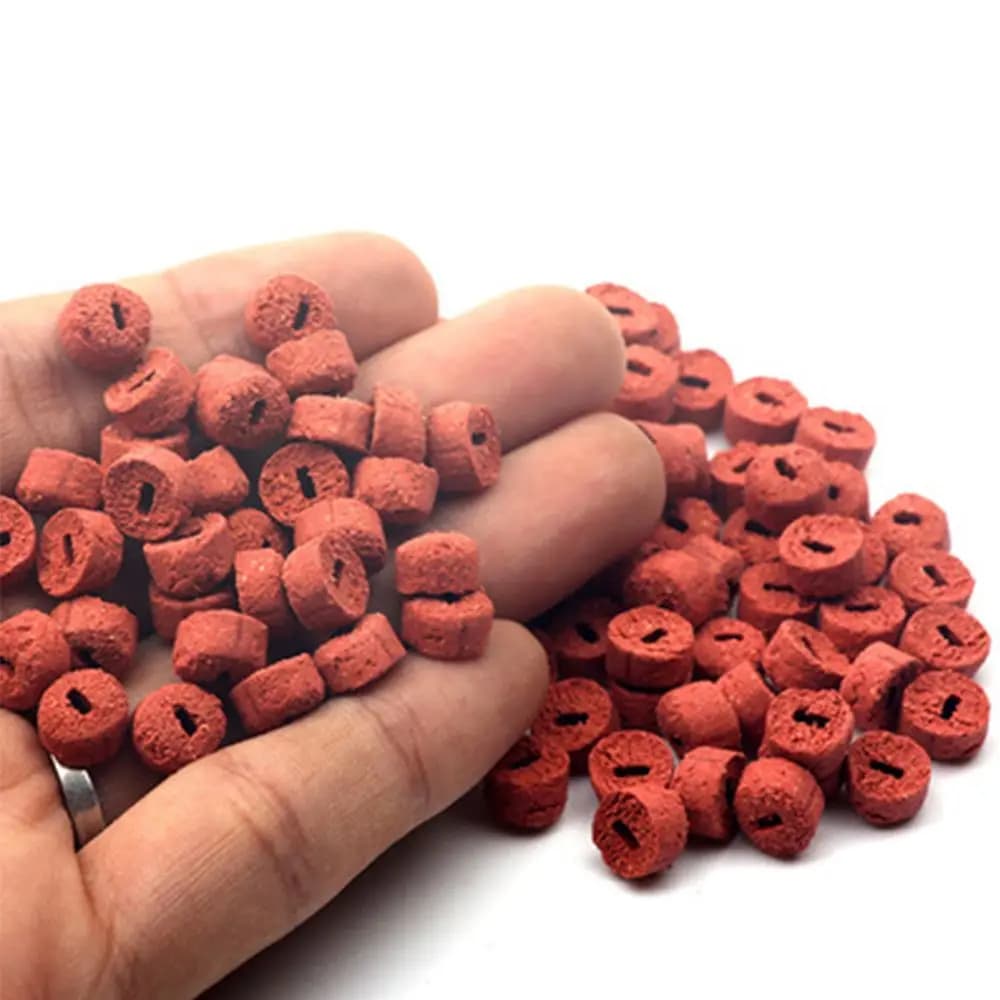 Vers rouges creux 100PCS - Appâts insectes pour carpe herbivore, tilapia et perche