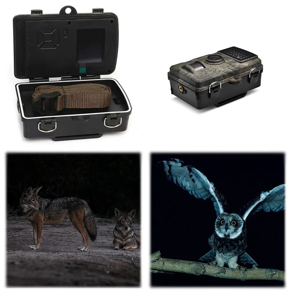 Caméra de piste de chasse étanche avec vision nocturne infrarouge pour observation animale et sécurité extérieure