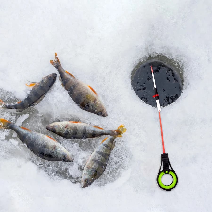 Canne à pêche glace FISH KING portable pour pêche hivernale avec moulinet spinning
