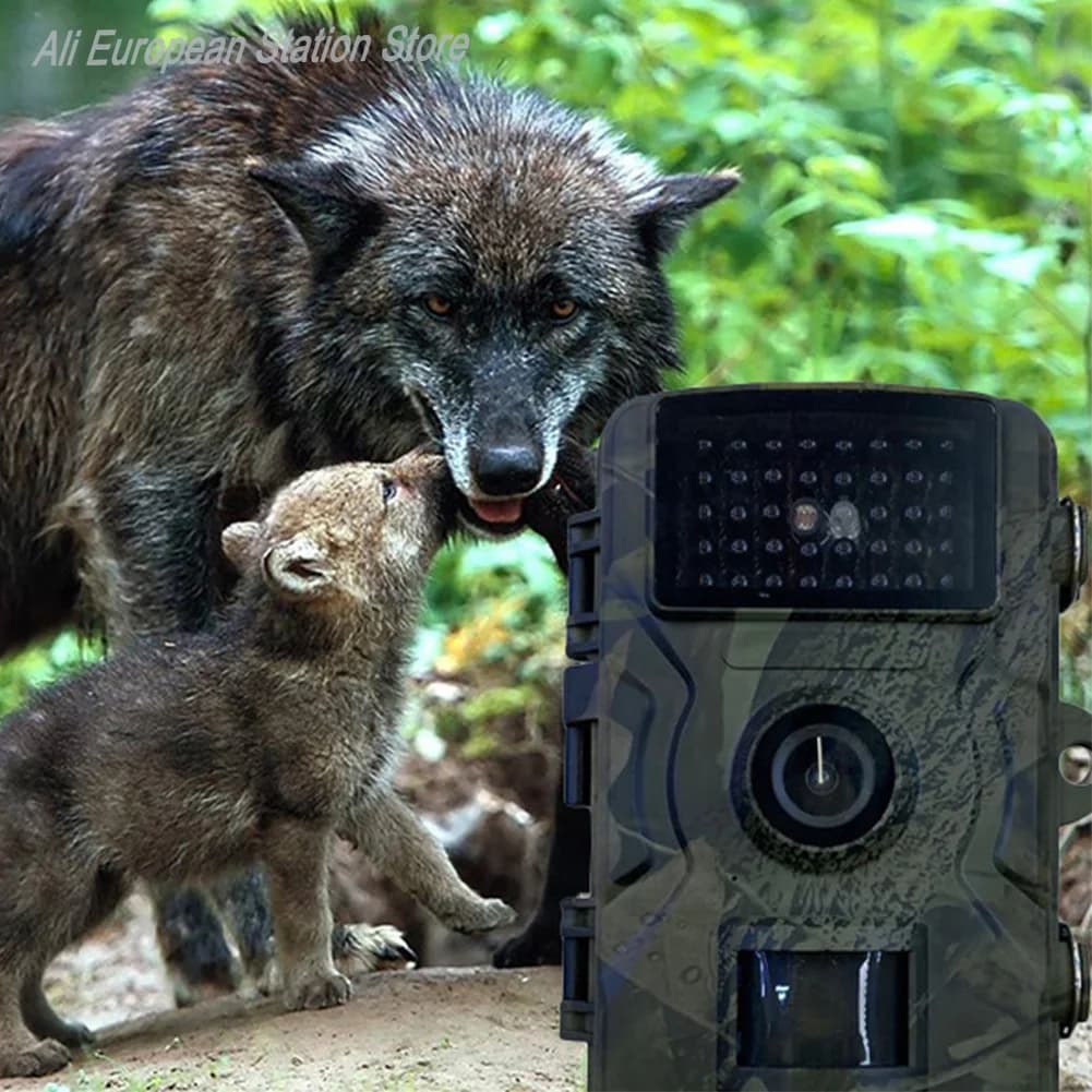 Caméra de chasse étanche vision nocturne infrarouge détection mouvement pour pistage animalier
