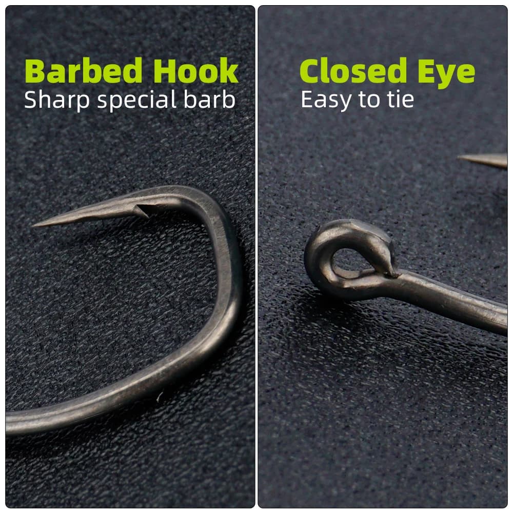 Hameçons carpe micro-barbelés acier haut carbone 50 pièces PTFE avec œillet et boîte amovible