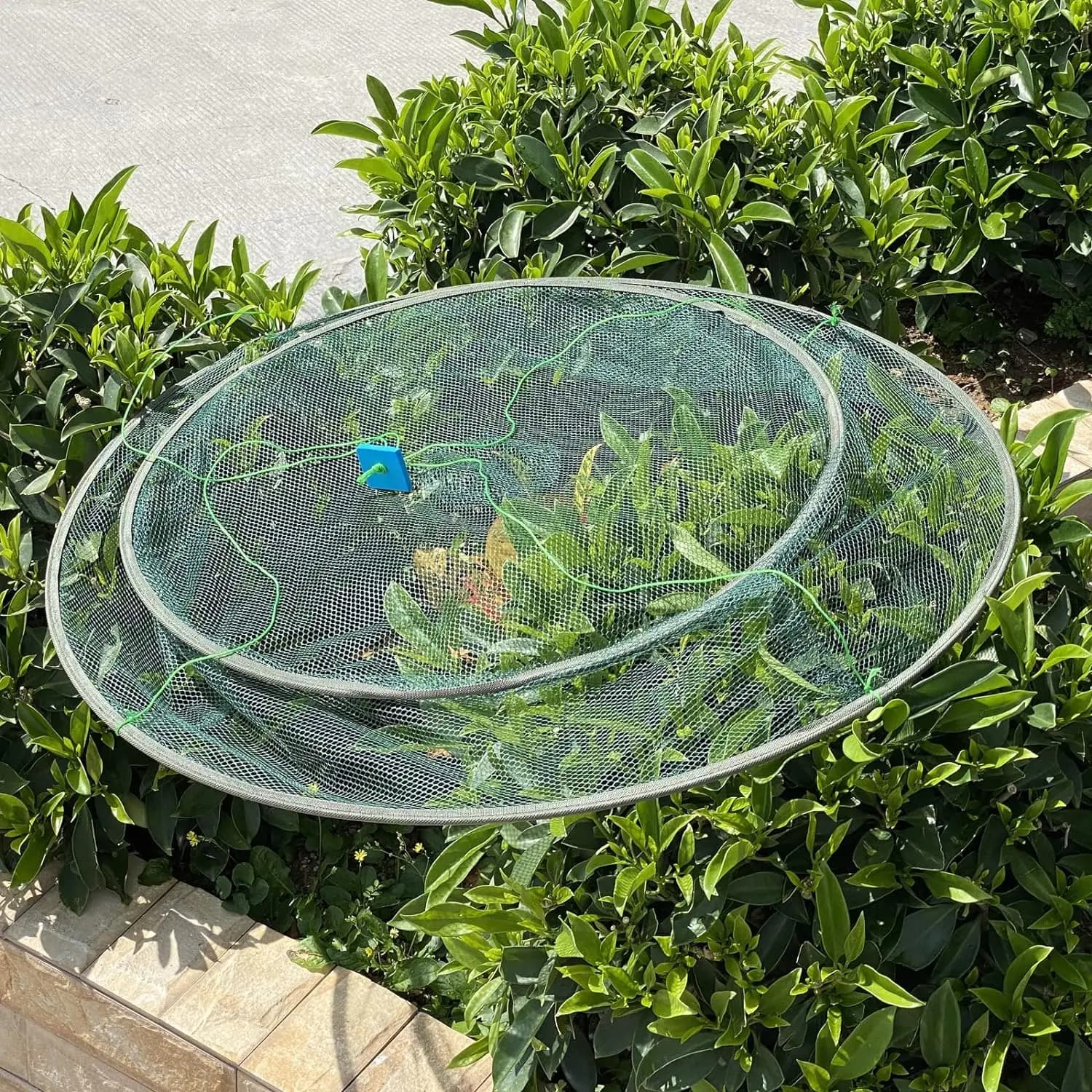 Filet de pêche pliable grand modèle 80/100 cm pour écrevisses, crevettes et appâts - Réservoir, étang, extérieur