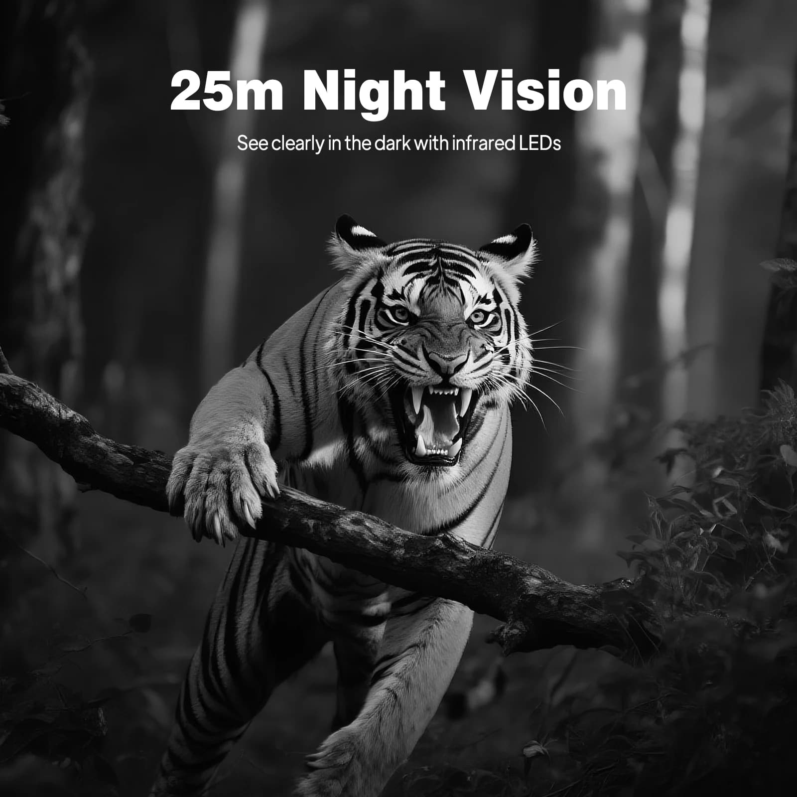Caméra HD infrarouge 2.4" vision nocturne pour surveillance faune et pêche observation France