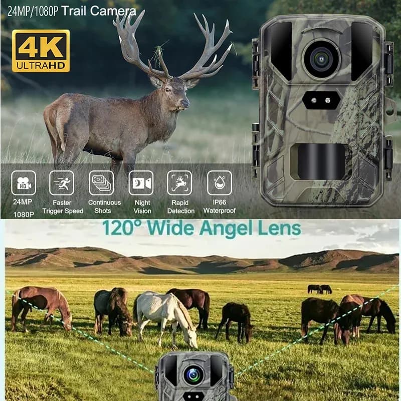 Caméra trail MiNi800 2.7K 50MP étanche IP65 vision nocturne pour repérage et chasse du gibier