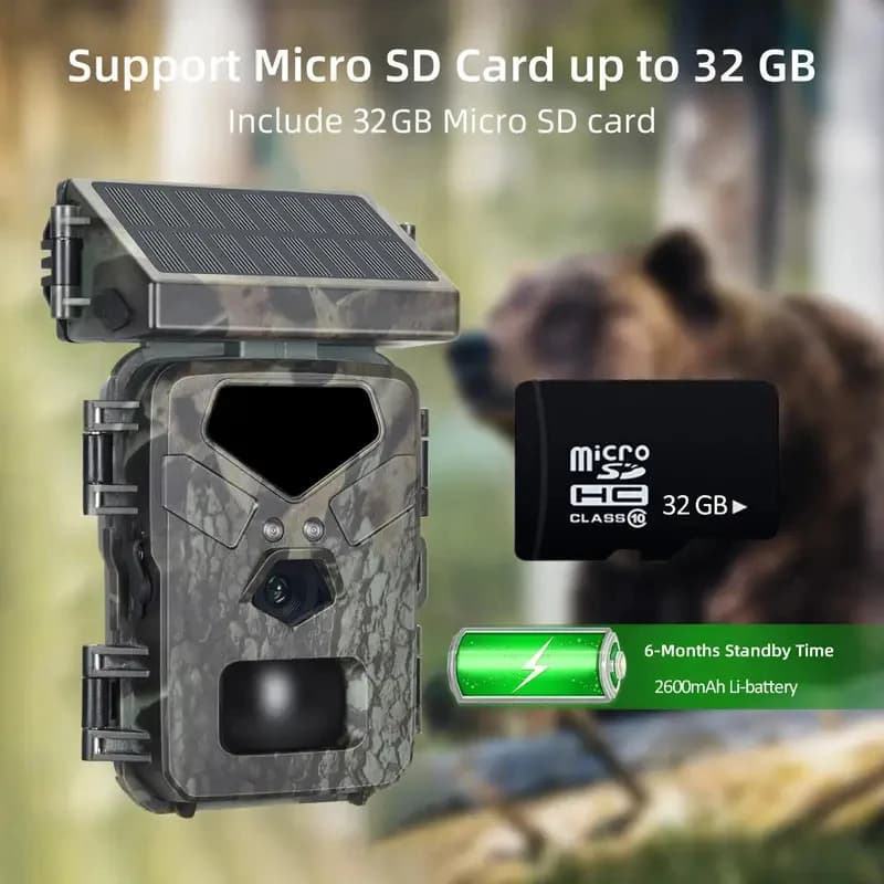 Caméra de chasse 4K vision nocturne infrarouge étanche IP65 surveillance cerfs sécurité jardin